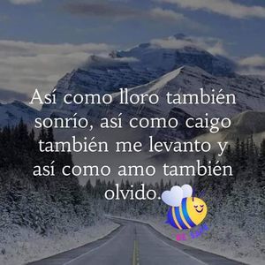 Meet your Posher, Ronny